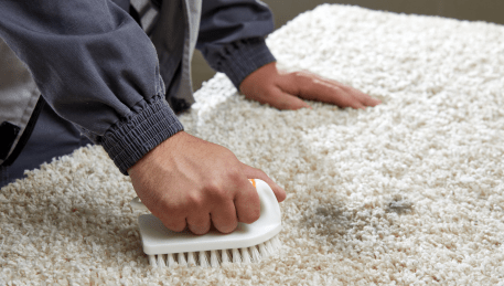 Professional Rug Cleaning Wyndham Vale